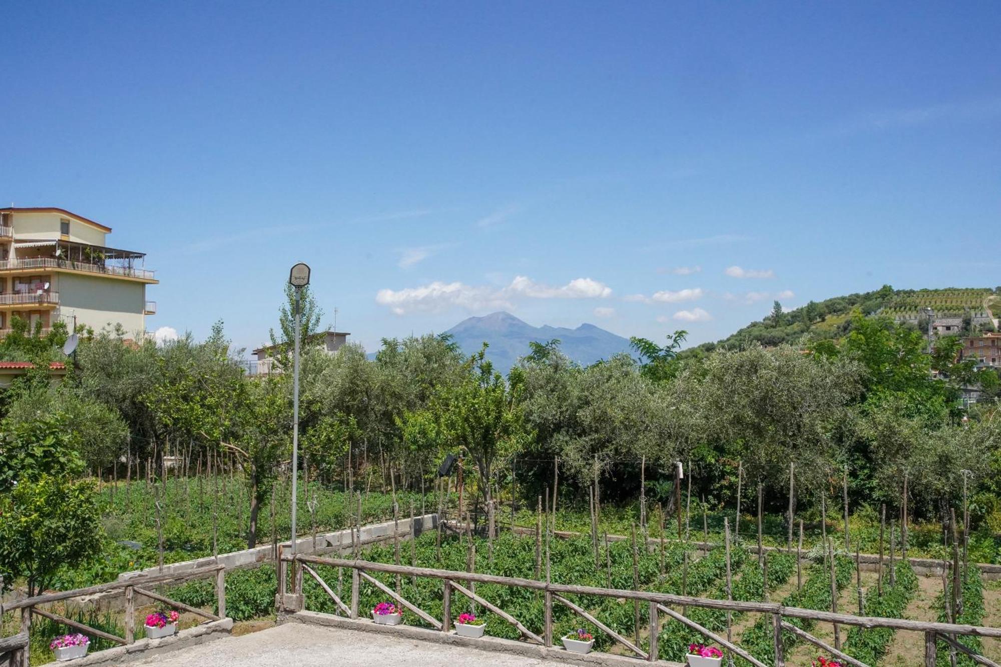 Bed and Breakfast Casa Fiorita Gragnano Exterior foto